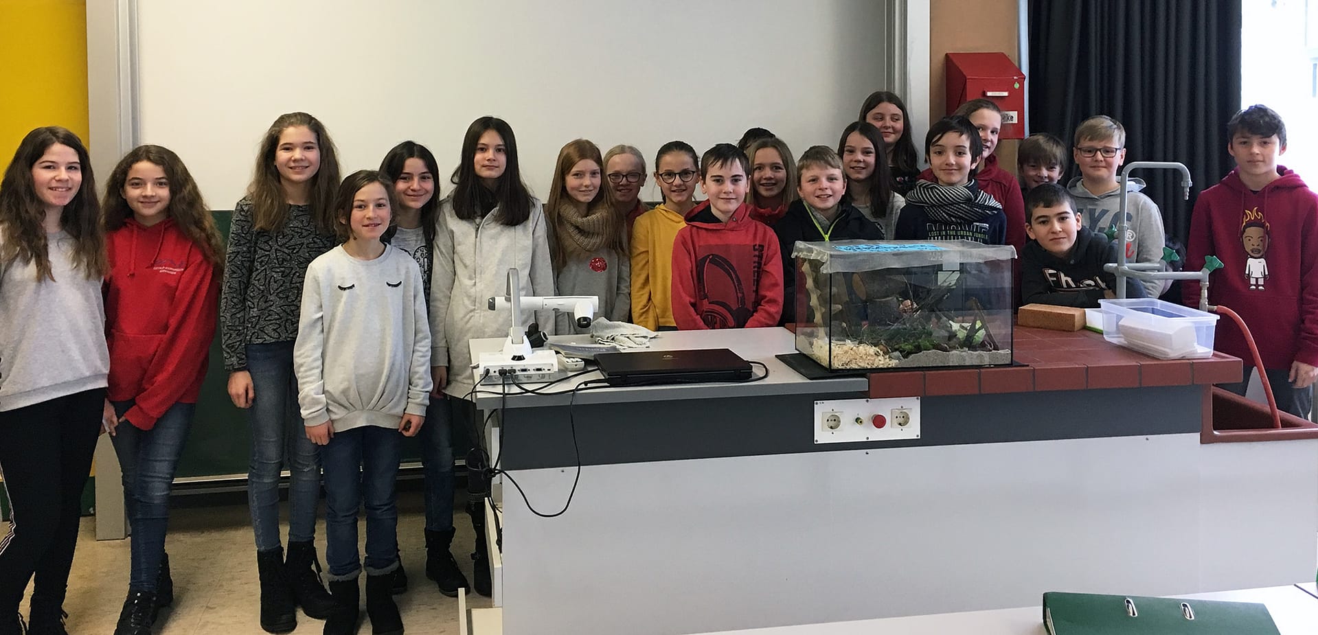 6b baut ein Terrarium