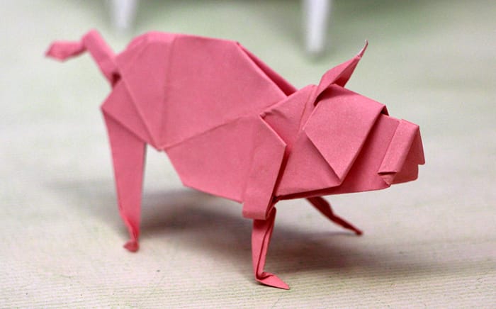 schwein