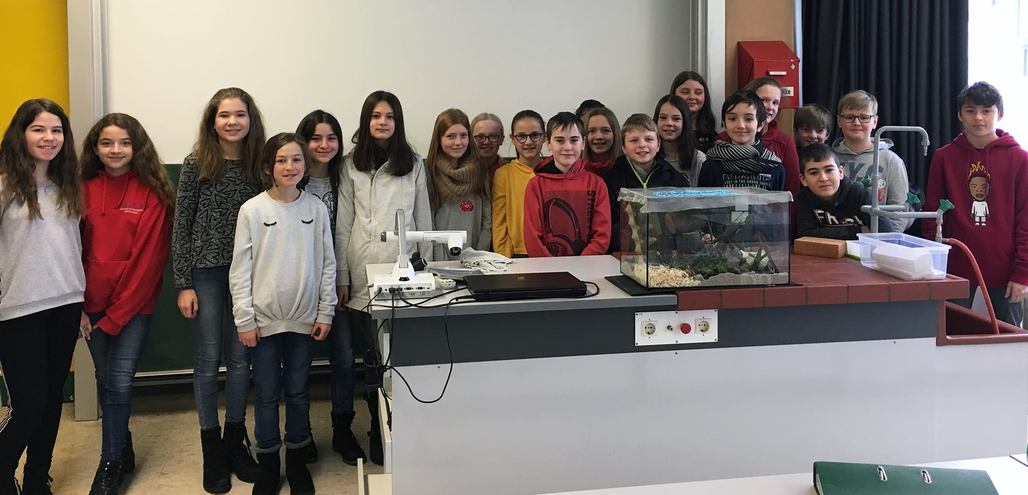 6b baut ein Terrarium
